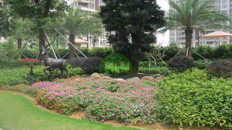 别墅小区绿化景观设计：如何打造宜居生态家园**