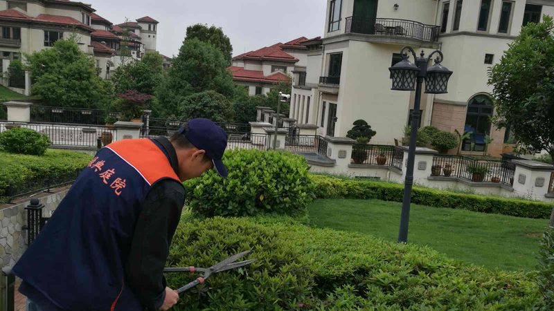 高尔夫球场草坪养护设备：型号与规格全解析**