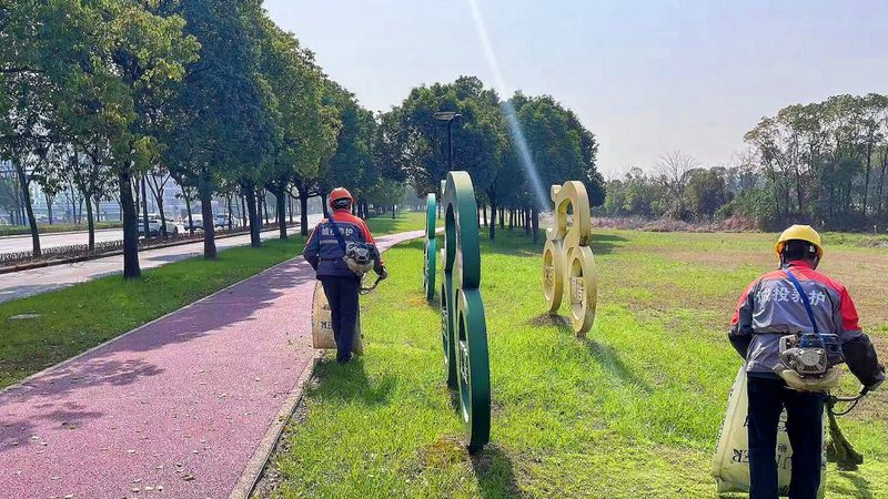四川苗木基地货源直销：揭秘优质苗木的供应链之道**