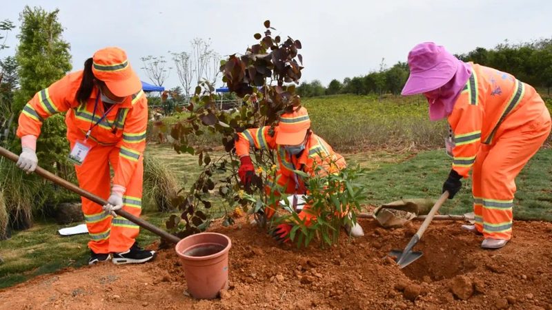 屋顶绿化补贴材料规格要求解析**