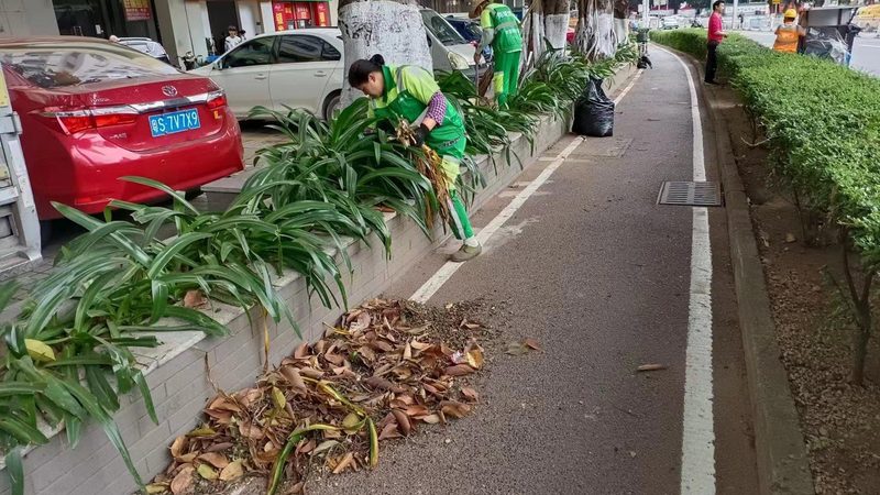 垂直绿化墙定制安装流程详解