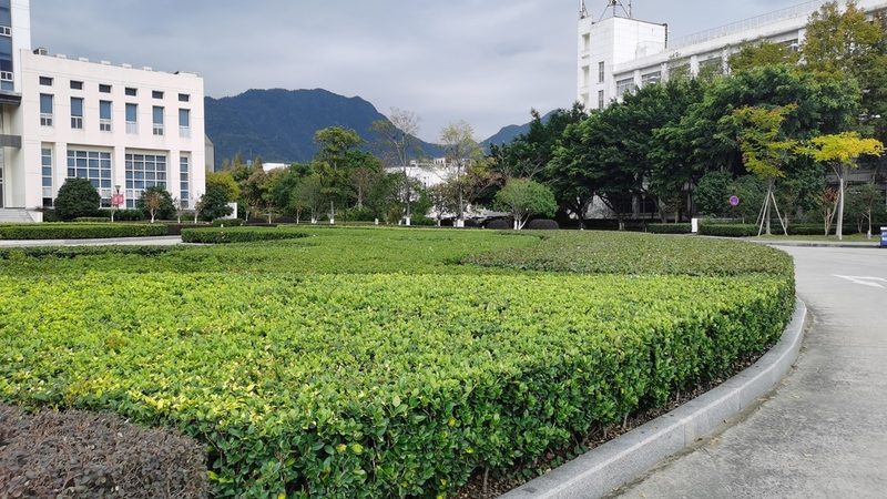 屋顶花园园林公司怎么选