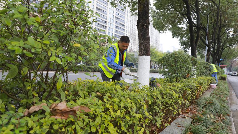 边坡绿化施工流程：从规划到验收的全方位解析