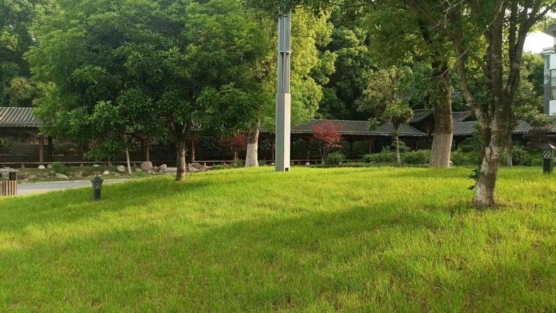 庭院假山鱼池，如何打造一方自然景致？**