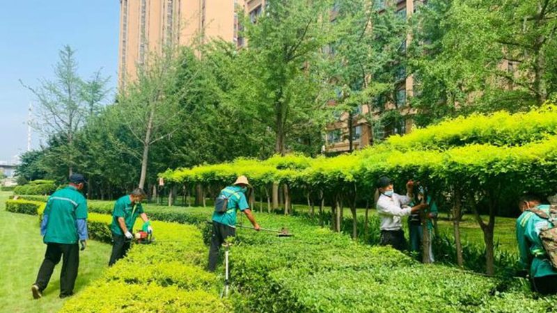 自动灌溉系统：垂直绿化中的高效守护者**